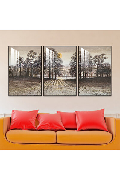 SND ثلاث لوحات جدارية خشبية مع برواز خشبي شامبين و طبقة من الاكريلك الشفاف