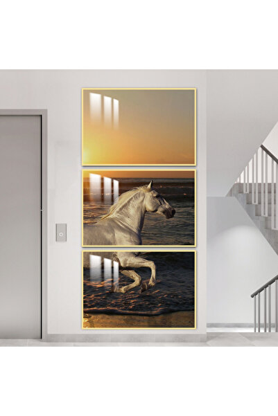 SND ثلاث لوحات جدارية خشبية مع برواز خشبي ذهبي و طبقة من الاكريلك الشفاف