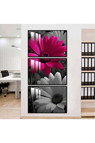 Marktna ثلاث لوحات جدارية خشبية مع برواز خشبي اسود و طبقة من الاكريلك الشفاف