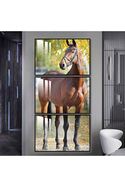 SND ثلاث لوحات جدارية خشبية مع برواز خشبي اسود و طبقة من الاكريلك الشفاف