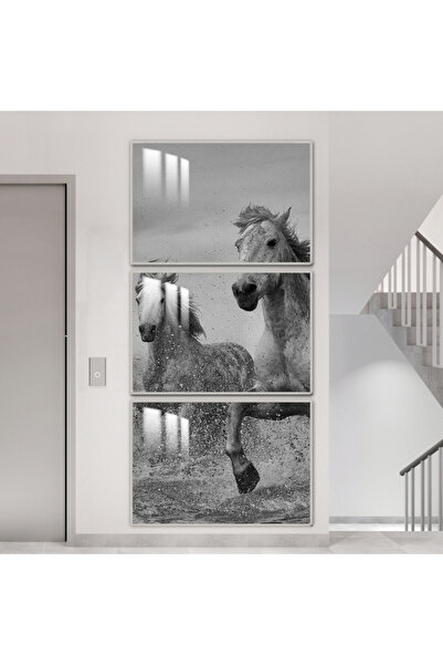 SND ثلاث لوحات جدارية خشبية مع برواز خشبي فضي و طبقة من الاكريلك الشفاف