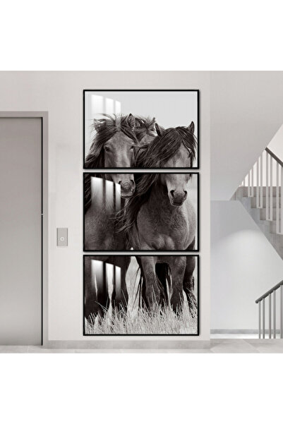 SND ثلاث لوحات جدارية خشبية مع برواز خشبي اسود و طبقة من الاكريلك الشفاف