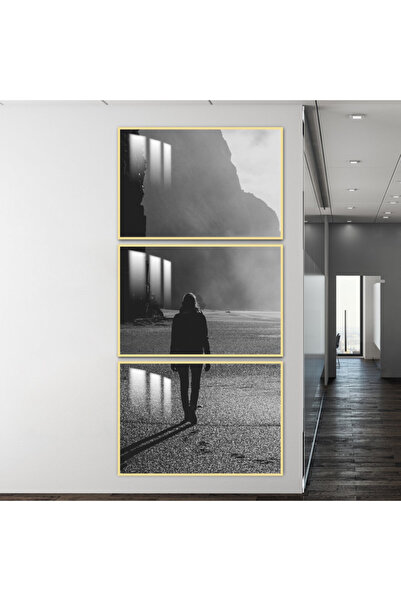 Marktna ثلاث لوحات جدارية خشبية مع برواز خشبي ذهبي و طبقة من الاكريلك الشفاف