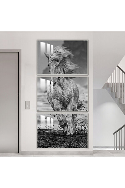 SND ثلاث لوحات جدارية خشبية مع برواز خشبي فضي و طبقة من الاكريلك الشفاف