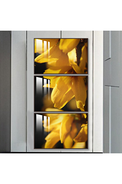 SND ثلاث لوحات جدارية خشبية مع برواز خشبي شامبين و طبقة من الاكريلك الشفاف