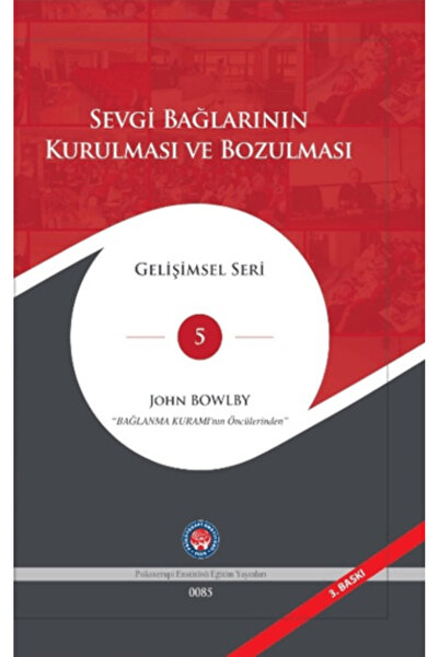 Psikoterapi Enstitüsü Sevgi Bağlarının Kurulması ve Bozulması (Ciltli)