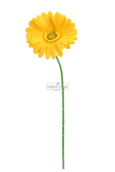 Yapay Çiçek Deposu Yapay Çiçek 2li Islak Dokulu Gerbera 30 cm Sarı
