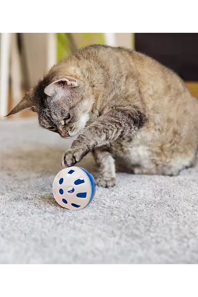 rianka 3.5 cm Cat Toy Cat Toy Ball with Interactive Energy Release Helping Moving Sound Rattle
