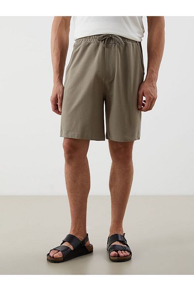 LC Waikiki Dark Beige Standard Fit Men's Shorts