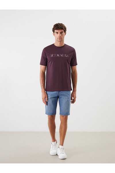 LC Waikiki New Season Crew Neck Short Sleeve Istanbul Printed Combed Cotton Men's T-Shirt - S5Ac81Z8