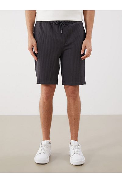 LC Waikiki Navy Blue Standard Fit Men's Shorts