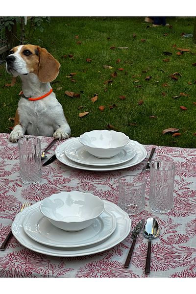LUFA HOME Delicate Tablecloth