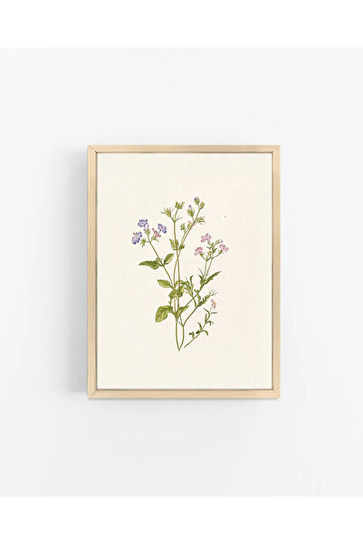 Vetro Design Floral Spring Branch Wooden Framed Poster No.1