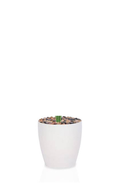 Generic Artificial banana leaf seedling (18 branches) in a cylindrical plastic container