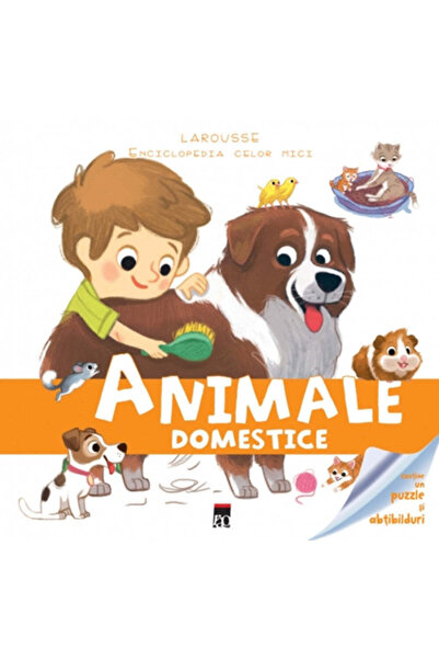 Rao Animale de companie