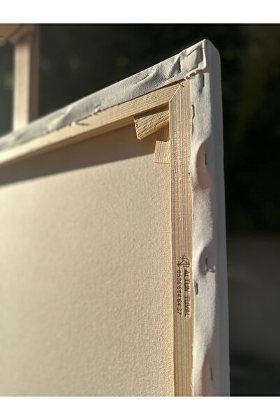 50x50 cm Kamalı Sistem Profesyonel Tuval