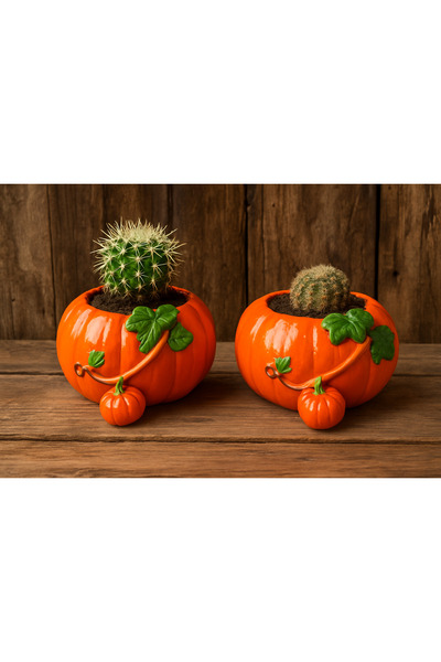 Show Art Hediyelik Dekoratif Sukulent Balkabağı 2 lı Takım