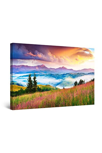 startonight Tablou DualView Startonight Covor de Flori pe Dealuri, 120 cm x 8...