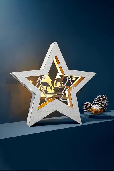 Tchibo LED Picture Star, White