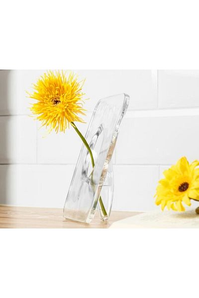 Gadget Master Transparent Flower Vase