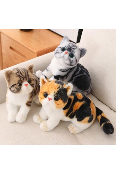 rexa Cat Soft Animal Toy for Kids Multicolor