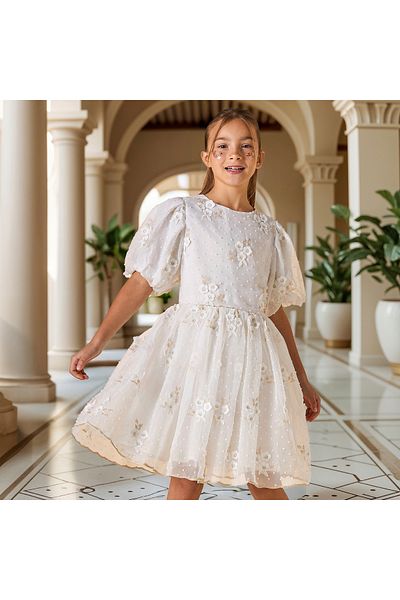 ELIGO Embroidered A-Line Dress with Puff Sleeves