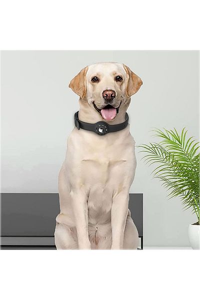 REDz Accessories Sports Collar with Airtag Holder, Anti-Lost, Adjustable, Silicone, Black