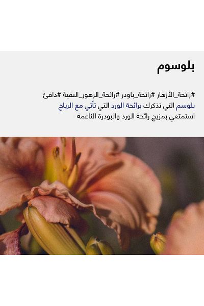 SHIFT Shower Filter - Blossom Scent | Natural Filtration & Purity in Every Drop. Suitable for regular showers and the first version of Shift.