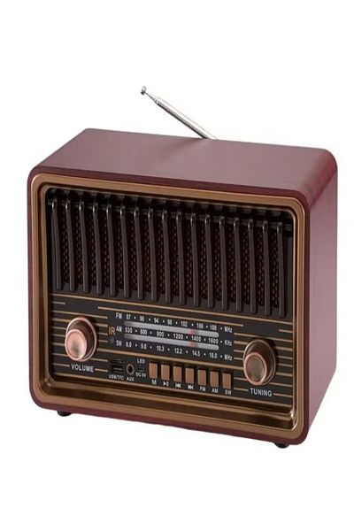 DLC All In One 8W Radio With Remote AM/FM/SW Radio /USB Player /TWS /TF Player/BT Connect