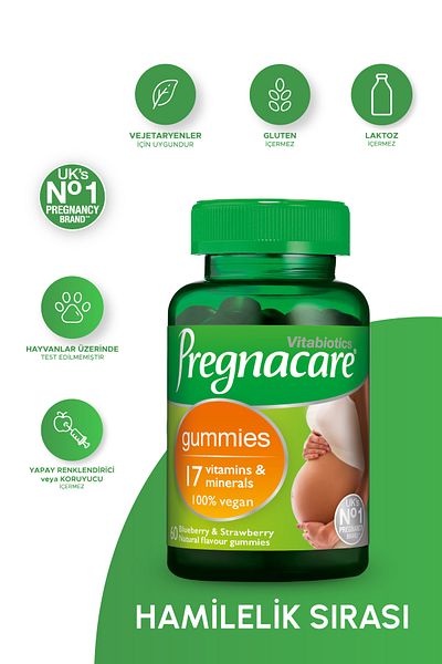 Pregnacare Inflatable Mattress - Car and Camping Bed, Electric Pump and Pillow Bed Set