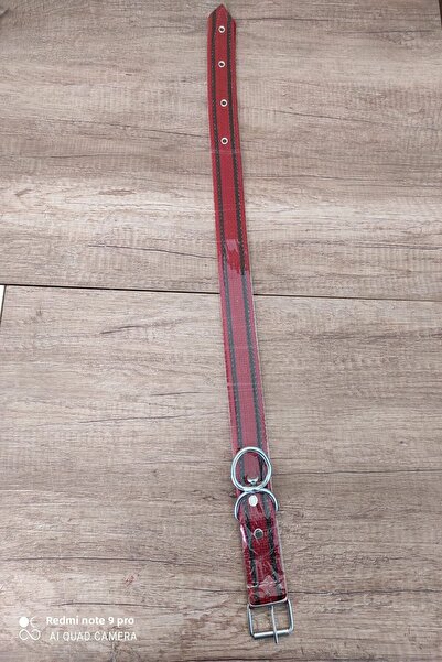 LİDERSAN ÇELİK Medium Large Breed Dog Collar