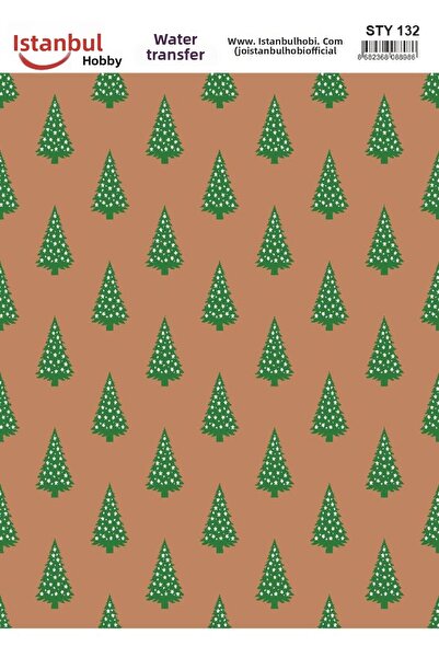 İstanbul Hobi نقل مائي للعام الجديد 25x35 سم STY132