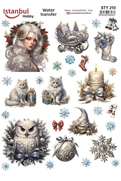 İstanbul Hobi نقل مائي للعام الجديد 25x35 سم STY250