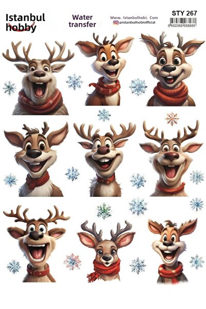 İstanbul Hobi نقل مائي للعام الجديد 25x35 سم STY267