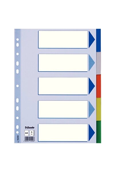 Esselte SEPARATÖR A4 5 RENKLİ SLT-15259