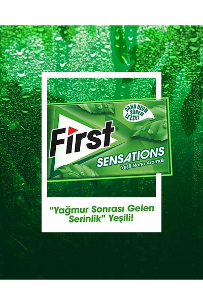 First Sensations Gum Assorted 27Gr - 12 Pieces