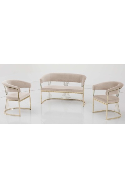 Casafun Set of 2 Armchairs, Master, velvet, gold metal legs and back, for cafe, restaurant, terraces, bar