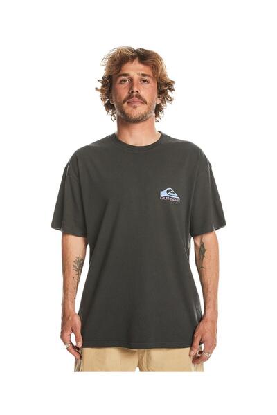 Quiksilver Take Us Back Logo Ss EQYZT07654-12814 Gri Tişört