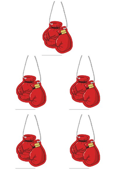 Jethızında 5'li Set Boks Eldiveni Araç Kokusu