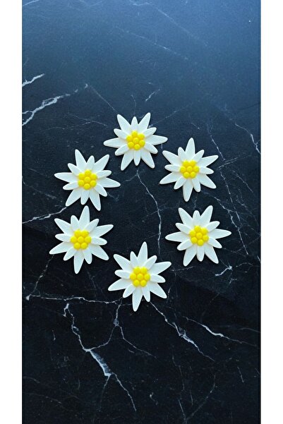 craftlab 6'lı Çiçek Temalı Buzdolabı Magnet Seti