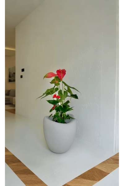 Lunalore Beton Görünümlü Avize Fiber Beton Dokulu 45 CM Modern Saksı Tasarımı...