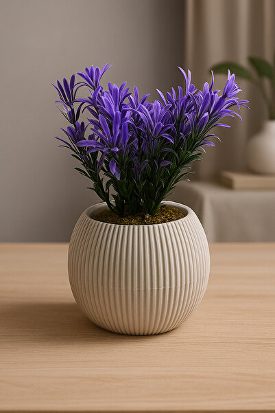 ALSHOP Mini Saksıda Afrika Zambağı Yapay Bitki Gerçek Taş Yosunlu 18 Cm Dekor...