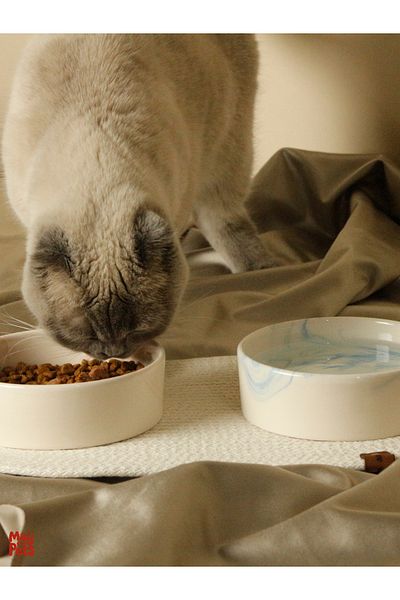 ARKHERA Set of 2 Ceramic Cat and Dog Bowls and Supla