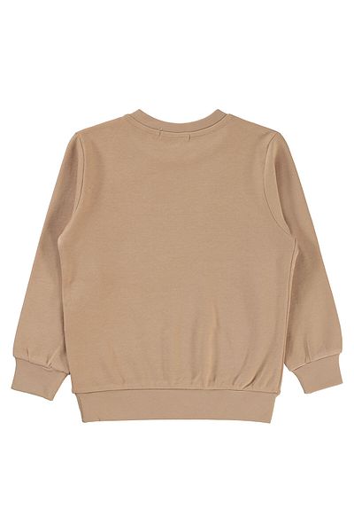 Civil Boys 2-5 Years Old Boy Sweatshirt - Mink