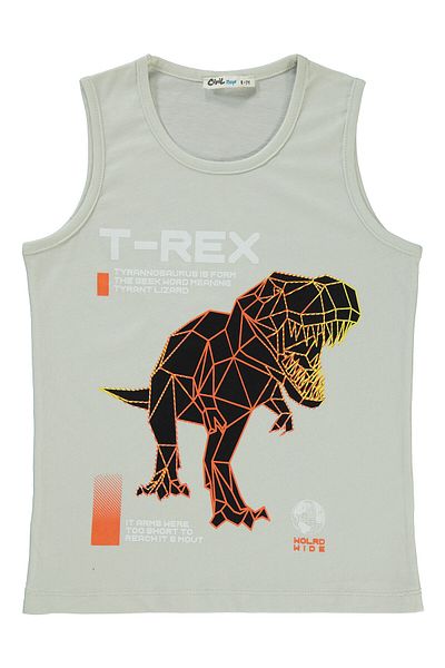 Civil Boys 6-9 Years Old Boy Gray T-Shirt