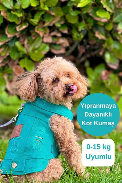salya store Pine Green Small Breed Dog Denim Vest - 0-15kg