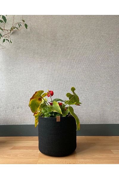 Sevdam Sepet Large Size Flower Pot - Flower Patterned Holster, Basket and Flower Pot