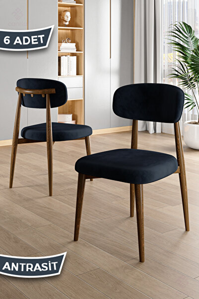 Canisa Laos Serisi 6 Adet Antrasit Mutfak Sandalyesi Ahşap Kaplama 1. Sınıf B...