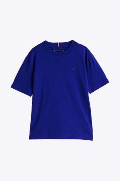 Tommy Hilfiger Tommy Hilfiger Boys Blue T-Shirts