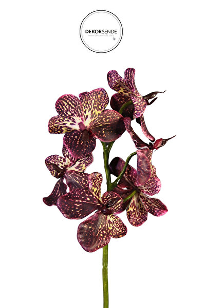 Dekorsende Yapay Vanda Orkide Dalı 52 cm Pembe